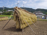 はぜ掛け4段