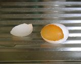 71f38423.jpg