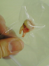 ba145d09.jpg