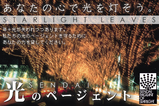 光のページェント