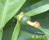 1d6aa076.jpg