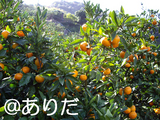 1f72248a.jpg