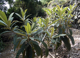 2584bccc.jpg