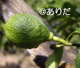 3acc8343.jpg
