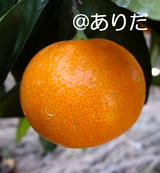 3b5486a4.jpg