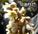 3f290b07.jpg