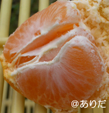 51730bdf.jpg