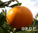 51a7977d.jpg