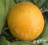 5d8418cb.jpg