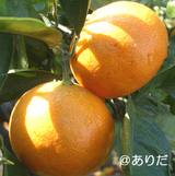 7ab576b6.jpg