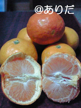 81c31c8f.jpg