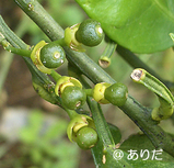 86f0596e.jpg