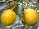 89c385bd.jpg