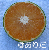 97f9dc2e.jpg