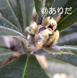 a104d005.jpg