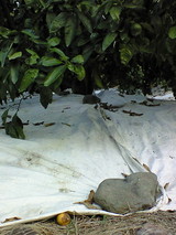 a1e6d963.jpg