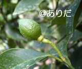 a3a84490.jpg
