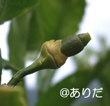 a42f7e22.jpg