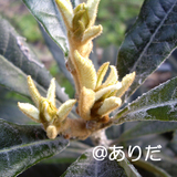 a9d58471.jpg