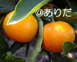 aba7b660.jpg