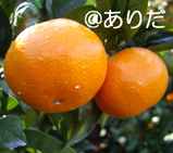 abfd780a.jpg
