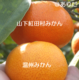 ace8f090.jpg