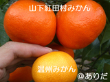 af01010b.jpg