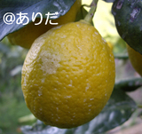 b015635f.jpg