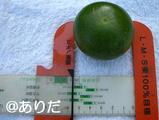 b4a2c846.jpg