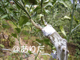 b7f79805.jpg