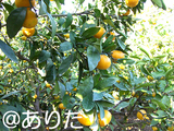 b8d314ca.jpg