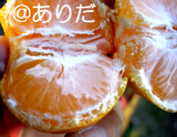 c2982b9c.jpg