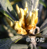 c396d80f.jpg