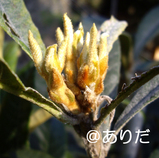 c821638b.jpg