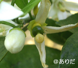 cf2a7b93.jpg