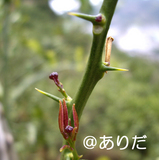 d1781696.jpg