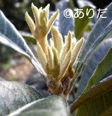 d1dc4a80.jpg