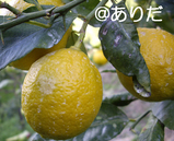 d9a5439d.jpg