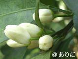 ebc7d34e.jpg