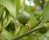 0605_1.jpg