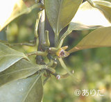 f47ff20a.jpg