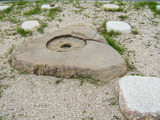 43acac91.jpg