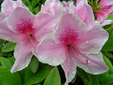 dfc9b1f7.JPG