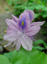 e6253e2d.jpg