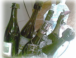������ȿ�ĥ���ꥢ�ۡ��룱��2010����������
