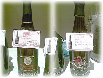 ������ȿ�ĥ���ꥢ�ۡ��룴��2010����������