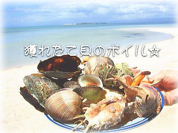 20100222084034ce9[1]