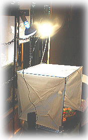image307[1]
