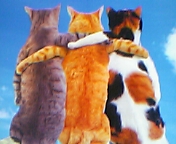 ネコだち