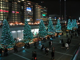 ���ɥ�����饤��0607-2